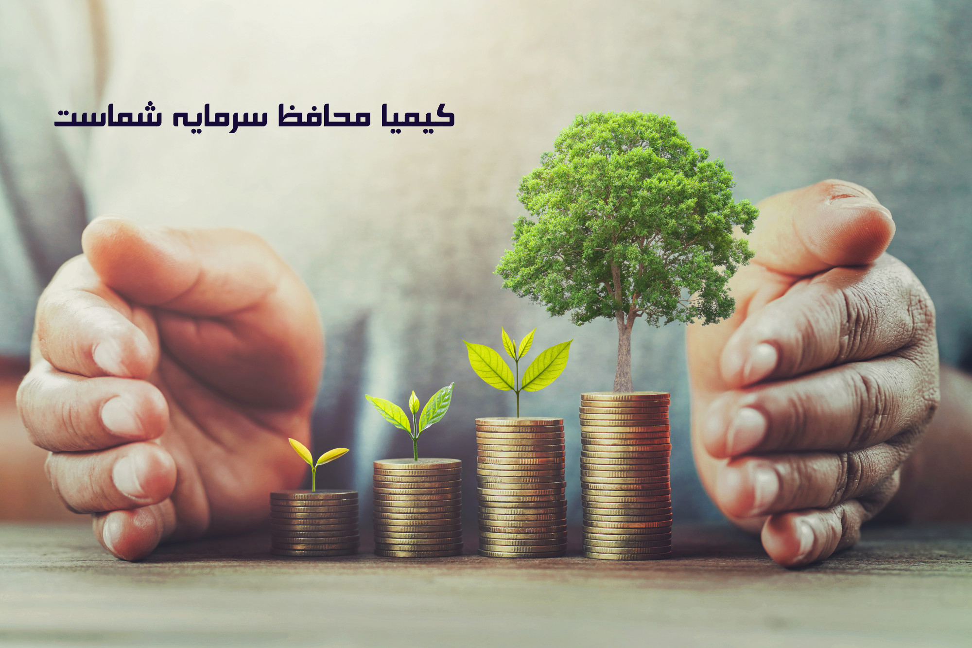 شرکت کیمیا
